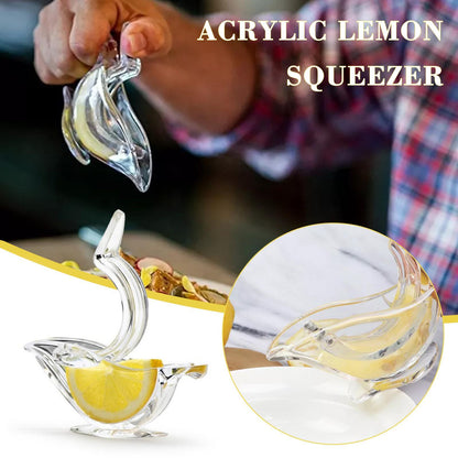 Portable Transparent Fruit Juicer Stylish