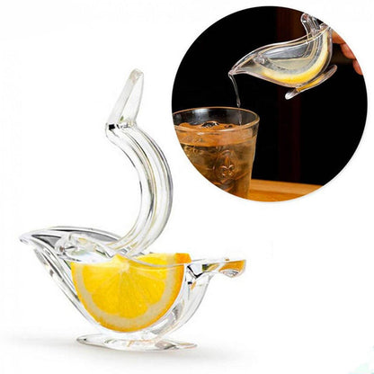 Portable Transparent Fruit Juicer Stylish